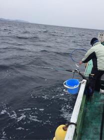 順調に釣果も伸び