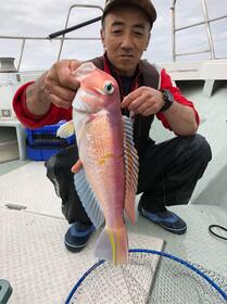 アマダイ追加でした！
