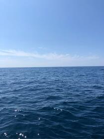 夏の海となってます！