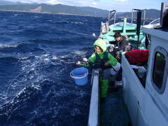 頑張って釣ってもらい！